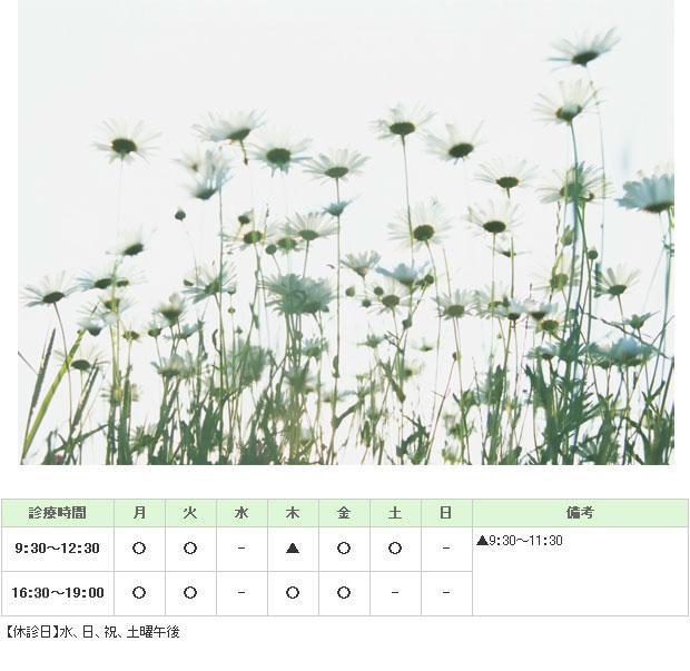 医療法人　藤村耳鼻咽喉科｜｜耳鼻咽喉科