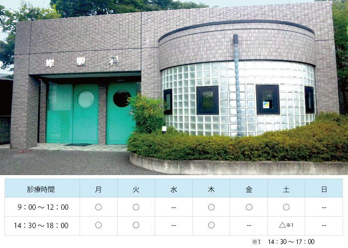 岸眼科医院｜｜眼科