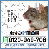 鎌倉市ねずみ110番では