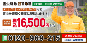 新着情報 西条市の害虫駆除 石鎚山 飯岡 大町地域のアリ ゴキブリ ムカデの 害虫駆除110番