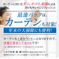 オーナーからのメッセージ