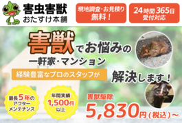 新着情報 調布市でネズミ被害などにお困りなら害虫害獣おたすけ本舗にご相談ください