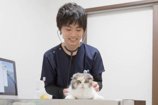宿泊料金には、院内ドッグ