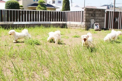 衛生管理には気を配ってい