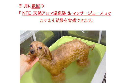 充実のケアメニューで、皮