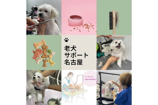 オプションメニューについ