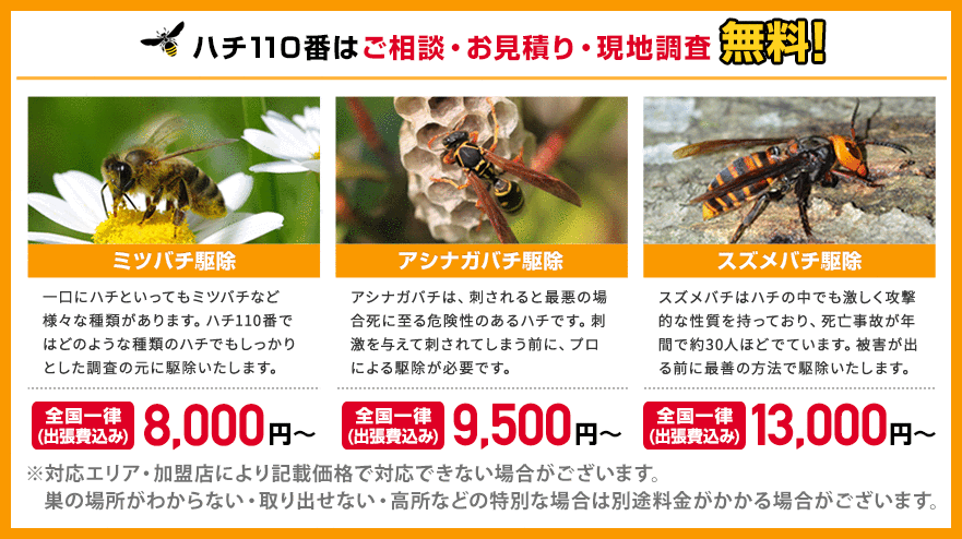土佐清水市の蜂の巣 スズメバチ駆除は最短15分でお伺いハチ110番