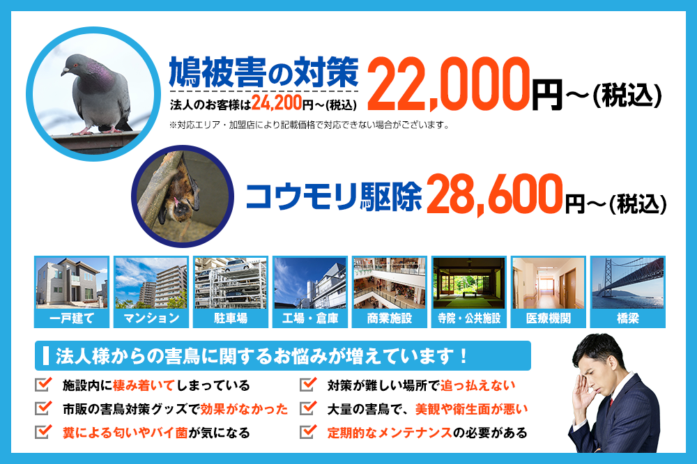 ハト被害の対策22,000円～（税込）から