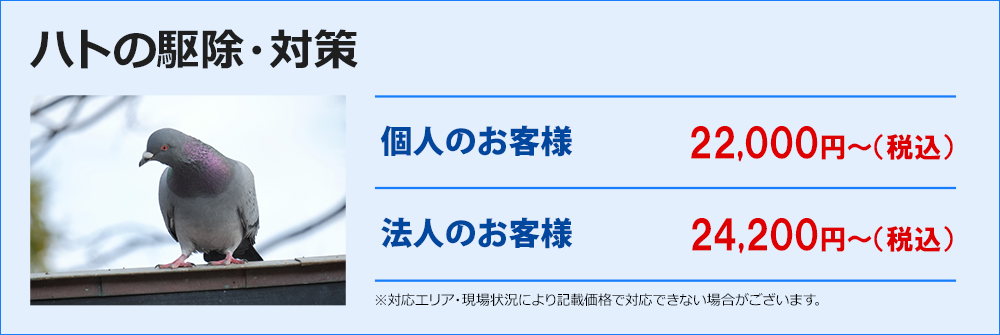 ハトの駆除・対策
