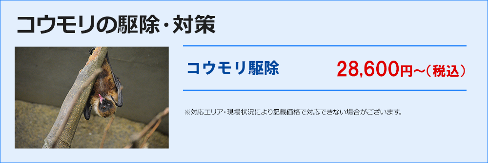 コウモリの駆除・対策