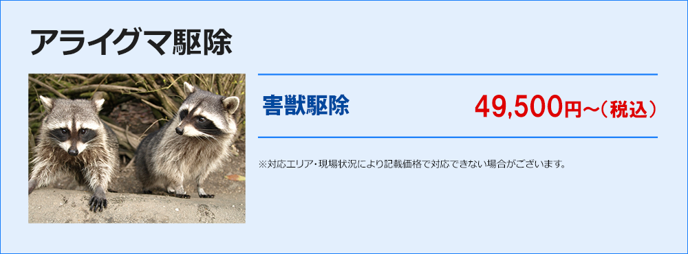 アライグマ駆除