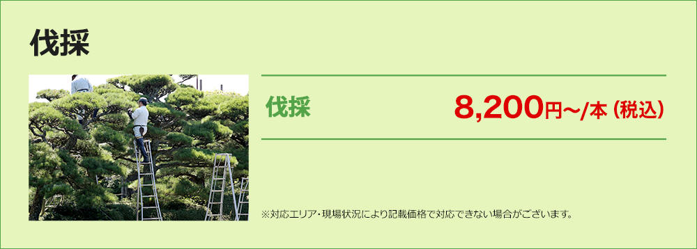 伐採