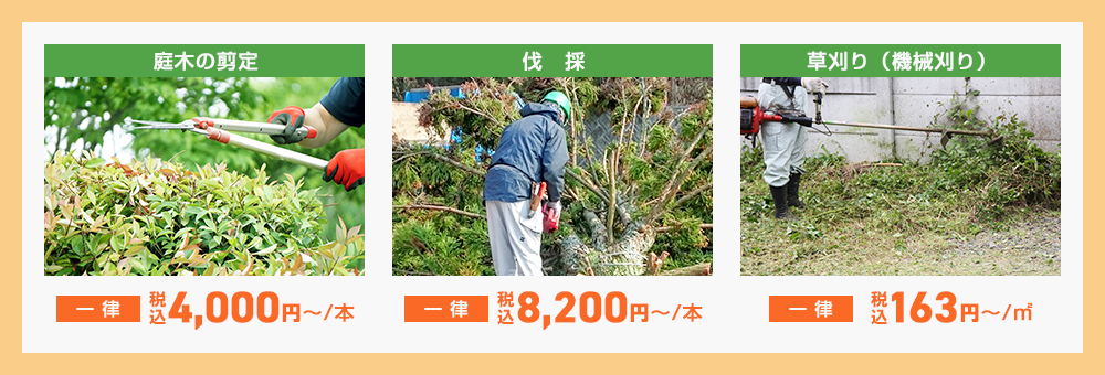 料金