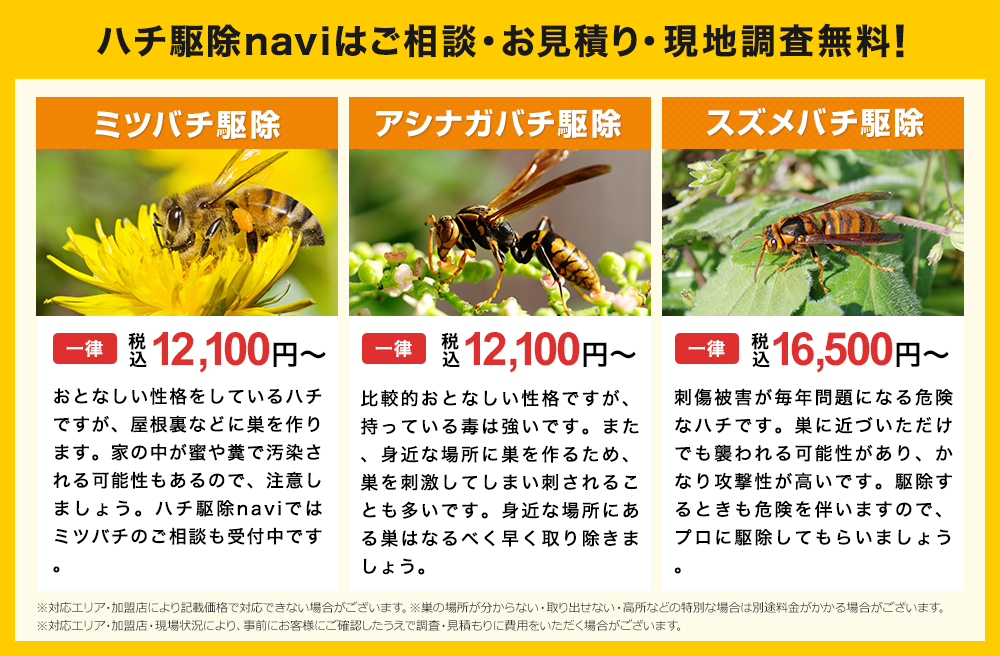 ハチ駆除naviはご相談・お見積り・現地調査無料！