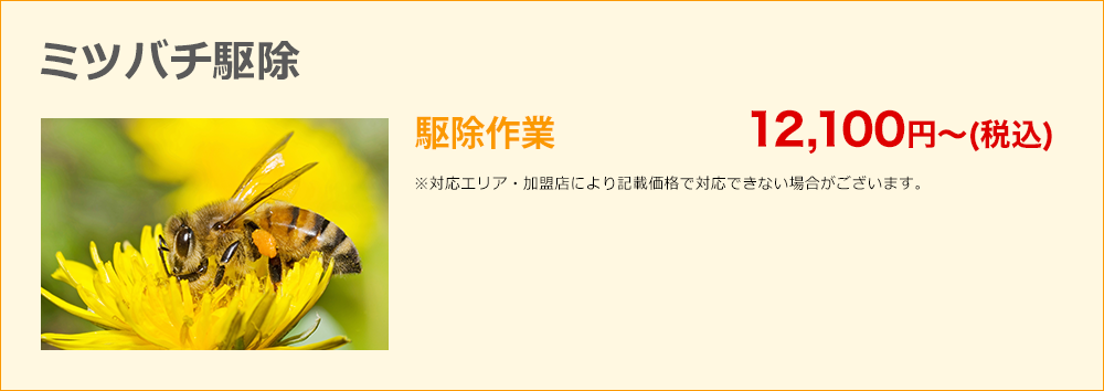 ミツバチ駆除