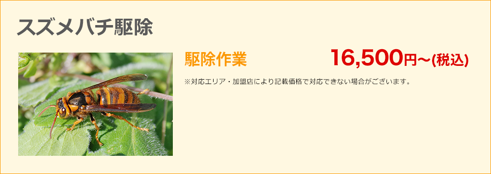 スズメバチ駆除