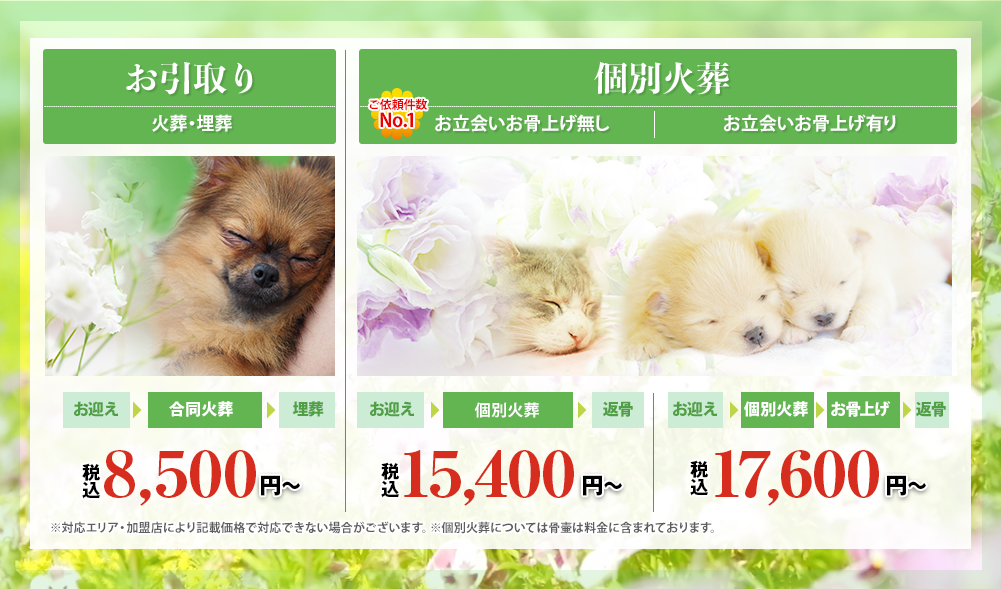 ペット葬儀ならペット葬儀naviにお任せ!