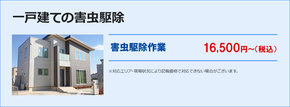 一戸建ての害虫駆除