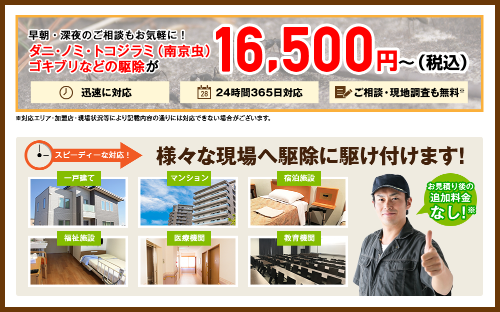 害虫駆除naviは長崎市の害虫全てに対応！