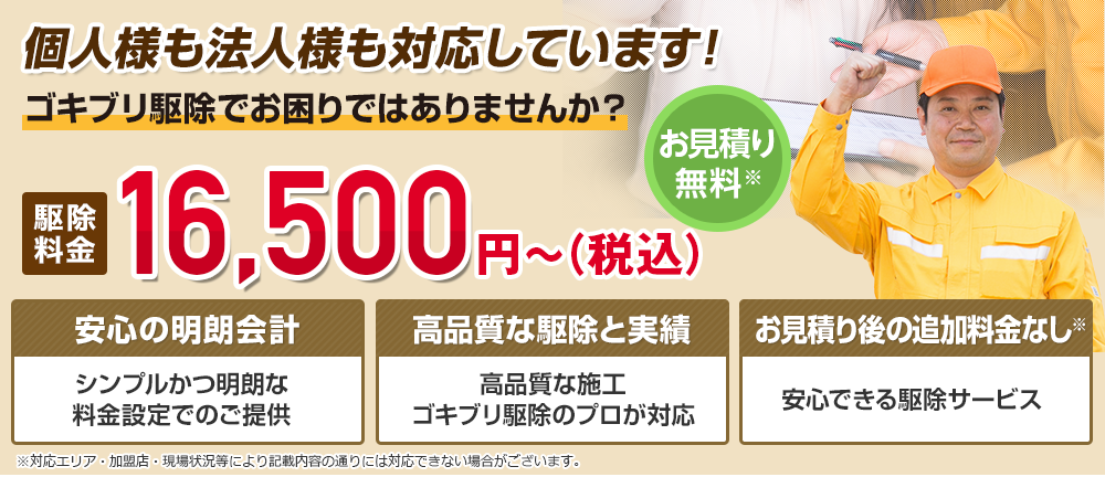 ゴキブリ駆除のプロによる無料現地調査