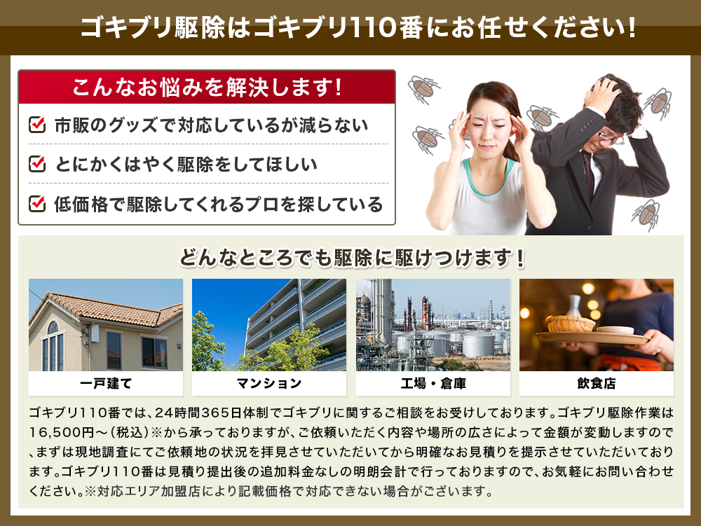 ゴキブリ駆除はゴキブリ110番にお任せ下さい！