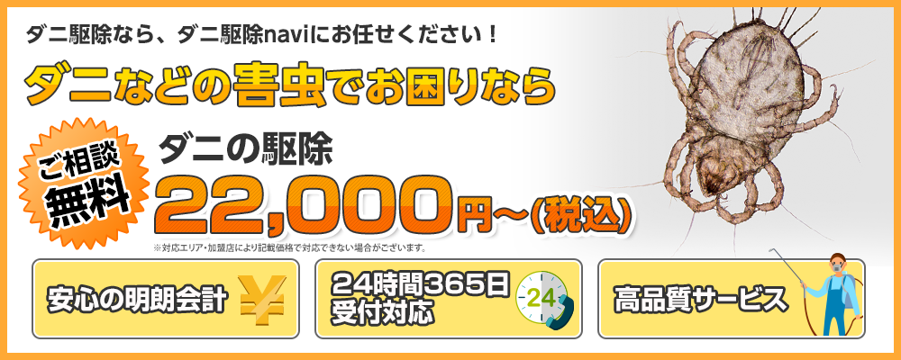 ダニ駆除なら、ダニ駆除naviにお任せ下さい！
