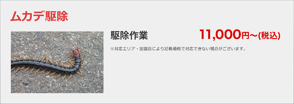 料金1