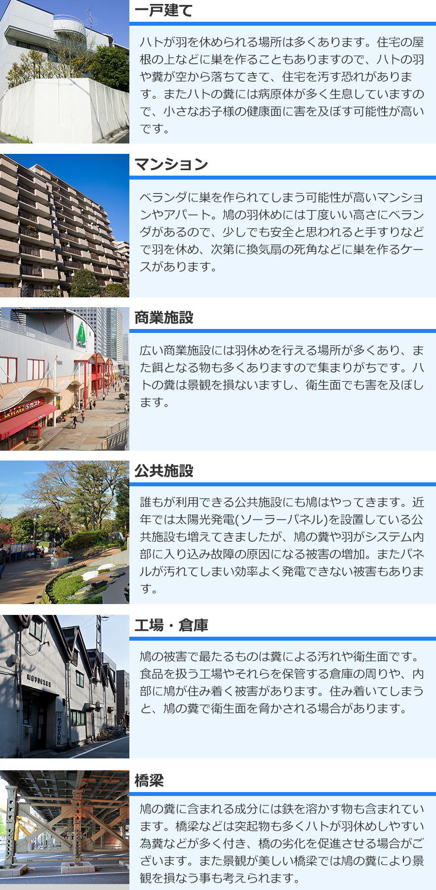 広島市南区の住宅のベランダから公共施設や商業施設など様々な場所でハトの被害は起こります
