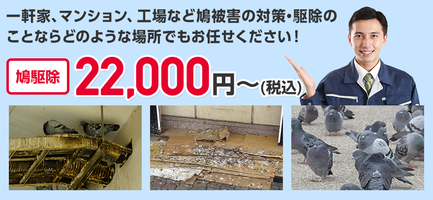 どのような場所でもお任せ下さい！