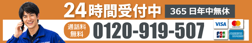 0120-919-507