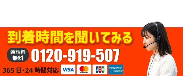 0120-919-507