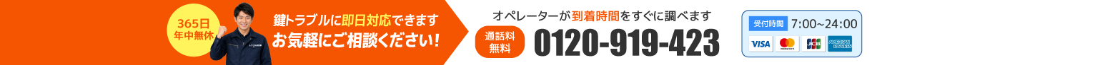 0120-919-423