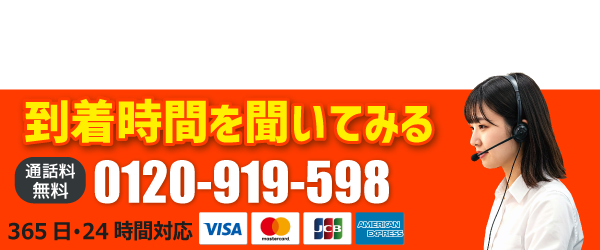 0120-919-598