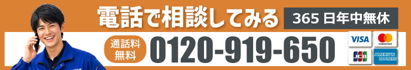 0120-919-650