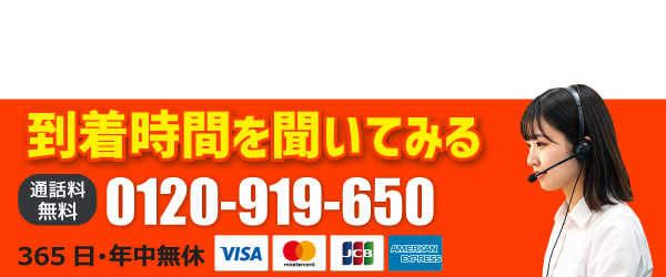 0120-919-650