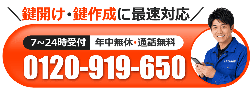 0120-919-650