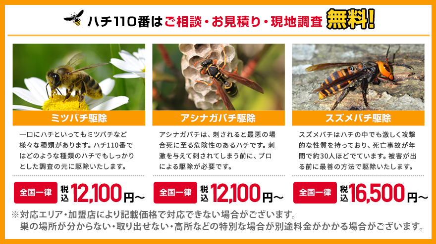 一覧