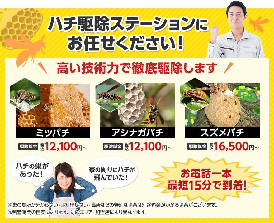 ハチ駆除ステーションにお任せください！