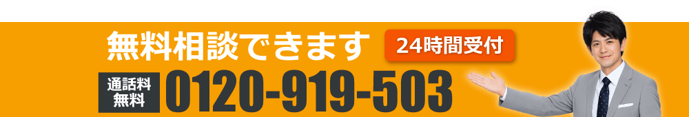 0120-919-503
