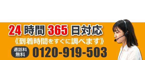 0120-919-503