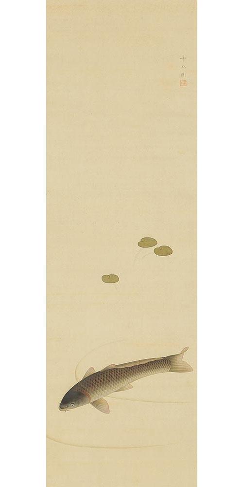 福田平八郎作「鯉」