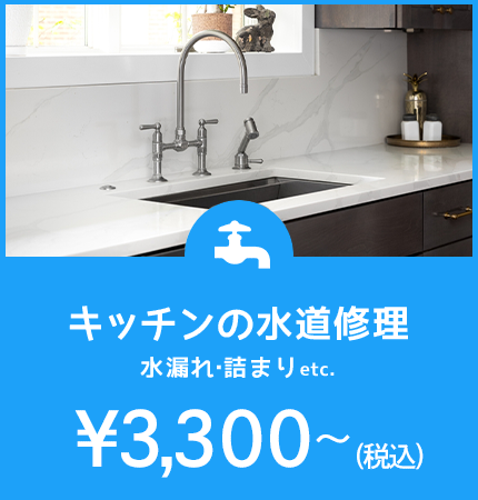 キッチンの水道修理