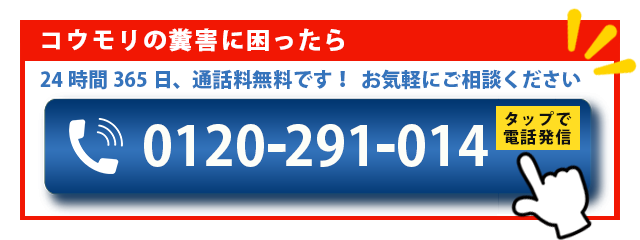 コウモリ駆除ならお任せください！