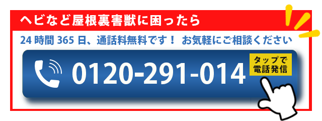 ヘビ駆除ならお任せください