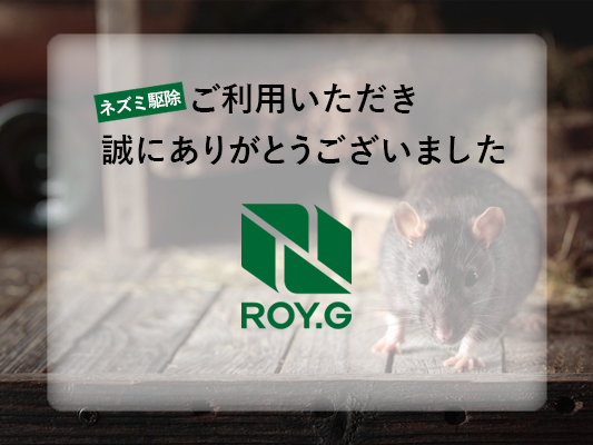 オーナーからのメッセージ